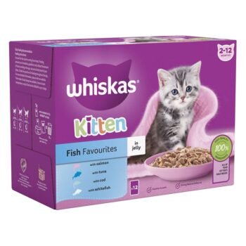 Whiskas Kitten Pouches in Jelly
